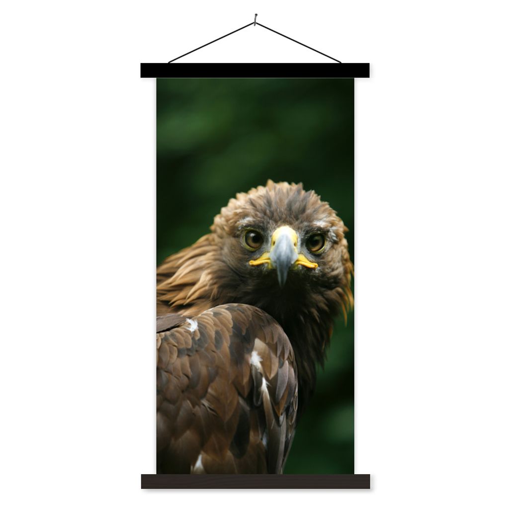 MuchoWow Textilposter Adler - Braun - Raubvogel 60x120 cm mit schwarzem Rahmen - Magnete