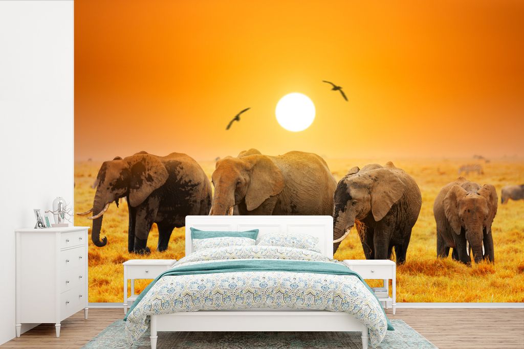 MuchoWow Fototapete für Wohnzimmer oder Schlafzimmer Wandtapete Vinyl Motivtapete Elefant - Vogel - Orange - 420x280 cm - Zimmer für Kinder