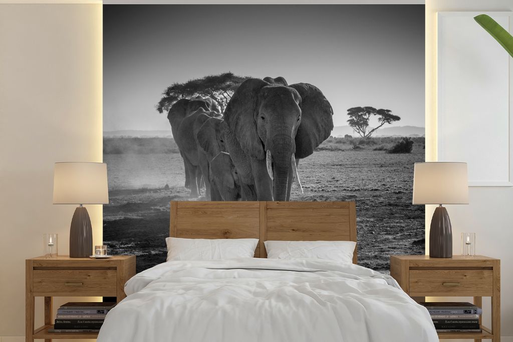 MuchoWow Fototapete für Wohnzimmer oder Schlafzimmer Wandtapete Vinyl Motivtapete Elefanten in Kenia in Schwarz und Weiß - 240x240 cm - Schlafz...