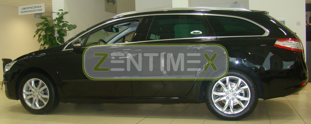 Schutzleisten kompatibel mit Peugeot 508 SW 2010- Kombi 5-türer