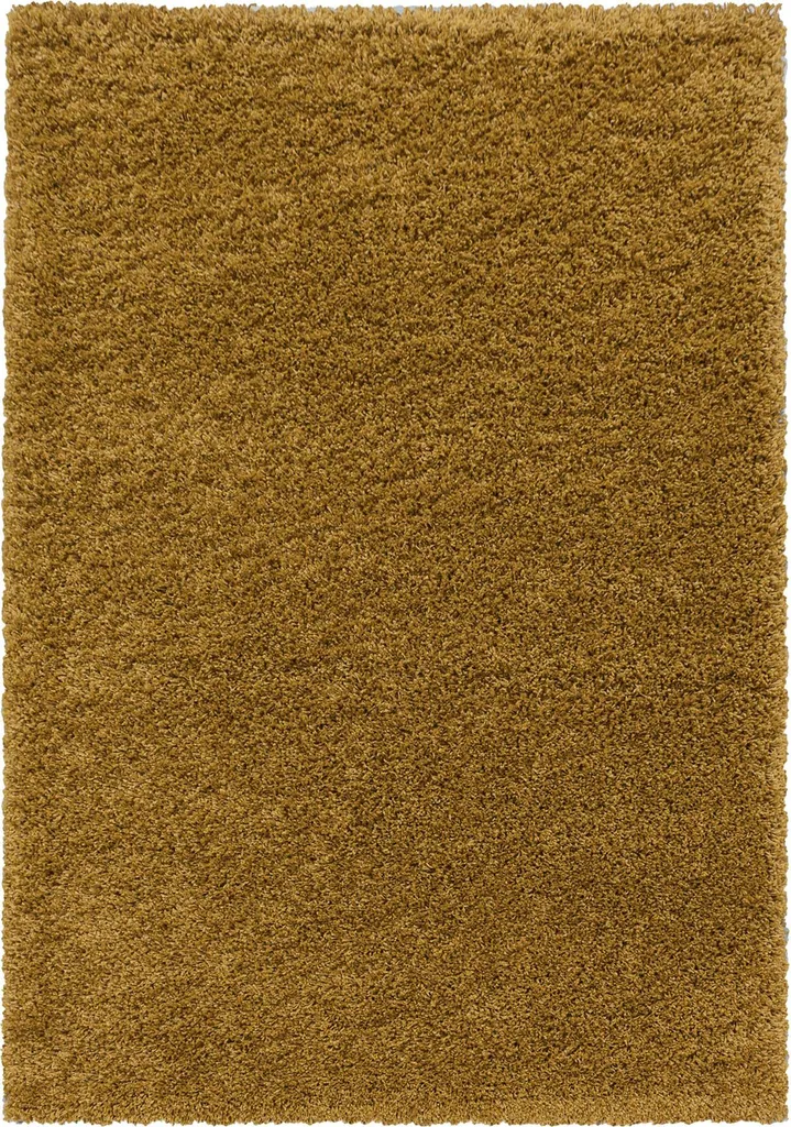 Tapis de Salon Moelleux Shaggy 100x200 cm pour une Ambiance Cosy Chic