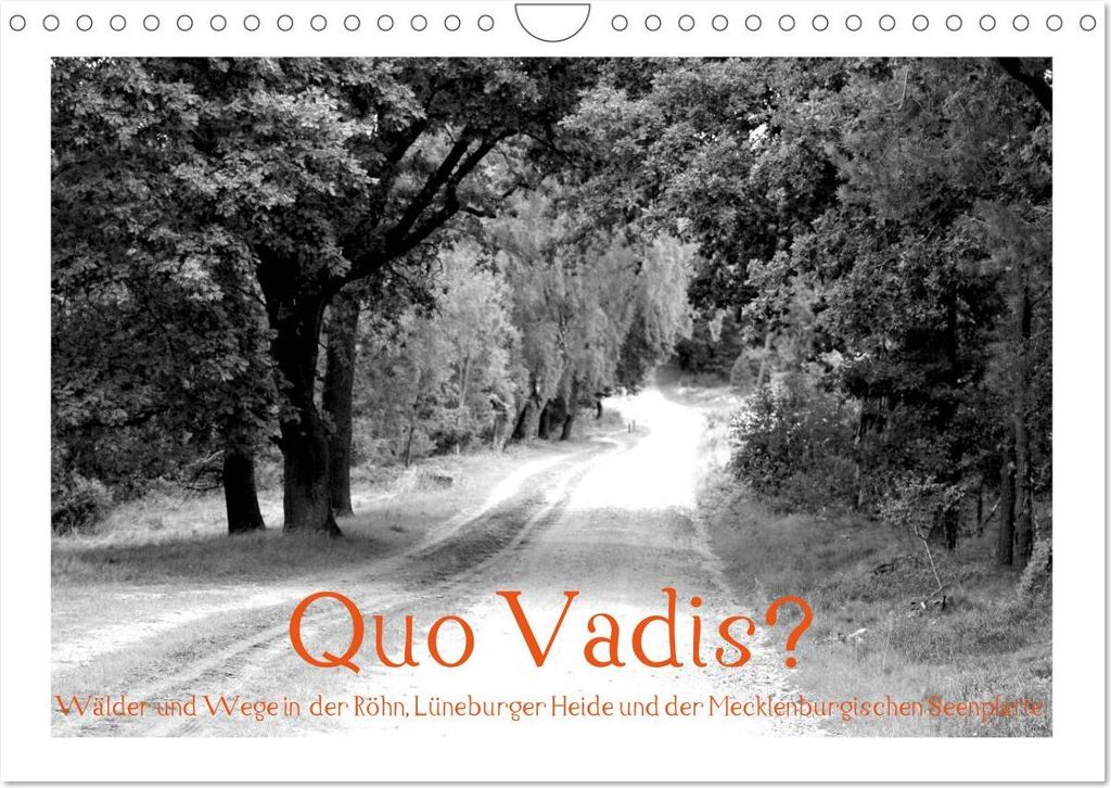Quo Vadis? Wälder und Wege in der Röhn, Lüneburger Heide und der Mecklenburgischen Seenplatte (Wandkalender 2026 DIN A4 quer), CALVENDO Monatska...