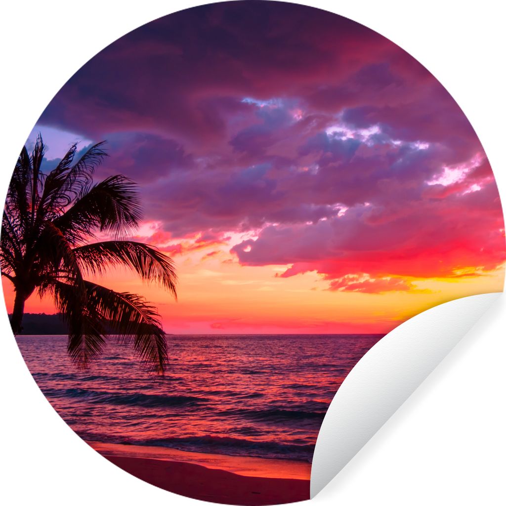 MuchoWow Runde Wandtattoo - Wandsticker Tapete Aufkleber Sonne - Horizont - Rosa - Palme - Meer Ø 100 cm Selbstklebend und Repositionierbar - Wa...