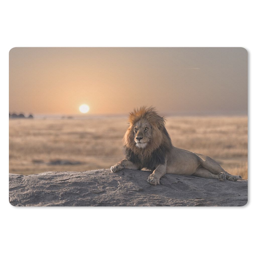 MuchoWow Schreibtischunterlage Löwe - Sonne - Afrika 60x40 cm - XXL Mauspad - Großes Mauspad