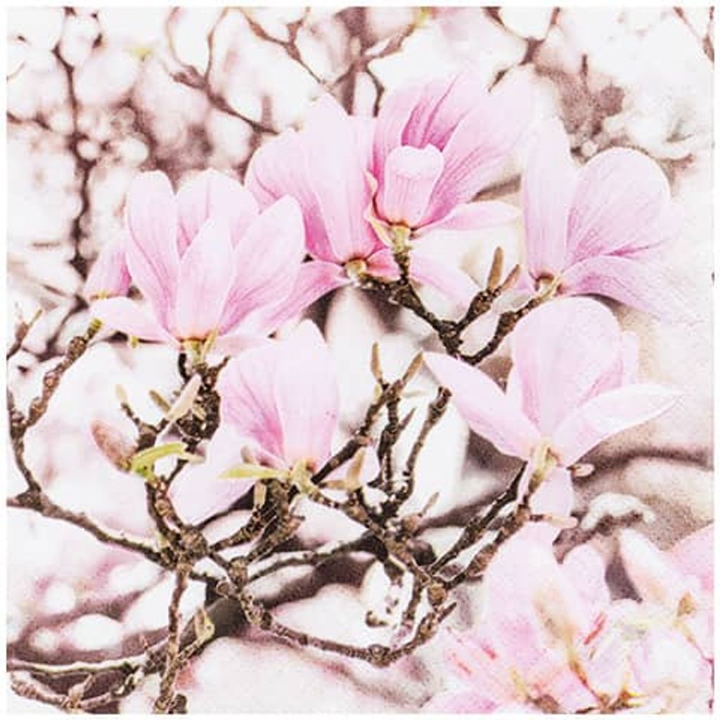 RP 20 Servietten Pink Magnolia - Blühende rosa Magnolien 33x33cm