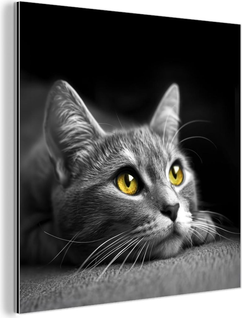 MuchoWow Wanddekoration Metall Metallbild Wandkunst 20x20 cm Katze - Schwarz - Weiß - Tiere - Natur MuchoWow Aluminium Gemälde - Alu Dibond Bilder