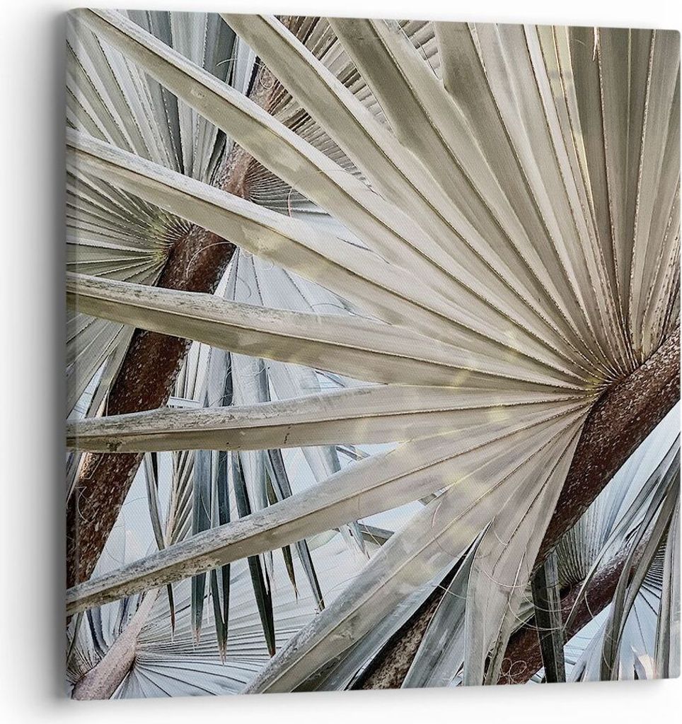 Bild auf Leinwand - Leinwandbild - Einteilig - Blatt Palme Natur - 40x40cm - Wand Bild - Wanddeko - Wandbilder - Leinwanddruck - Bilder - Wanddekor...