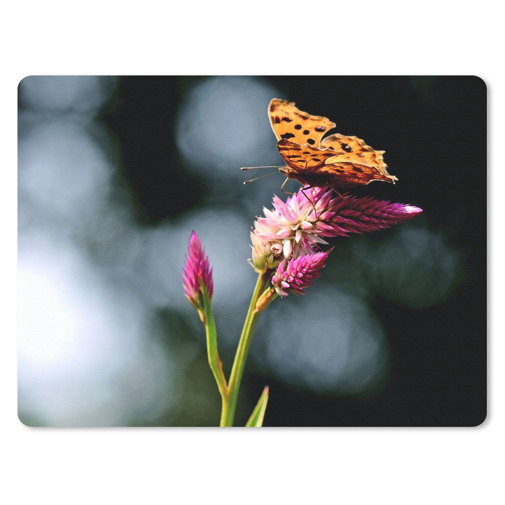 MuchoWow Mauspad Mousepad Schmetterling - Blumen - Insekten 40x30 cm - Mousepads - Maus Mat - Pad - Mausunterlage - Anti Rutsch