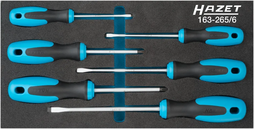 HAZET 163-265/6 Modulo Giraviti Professionale - Made in Germany