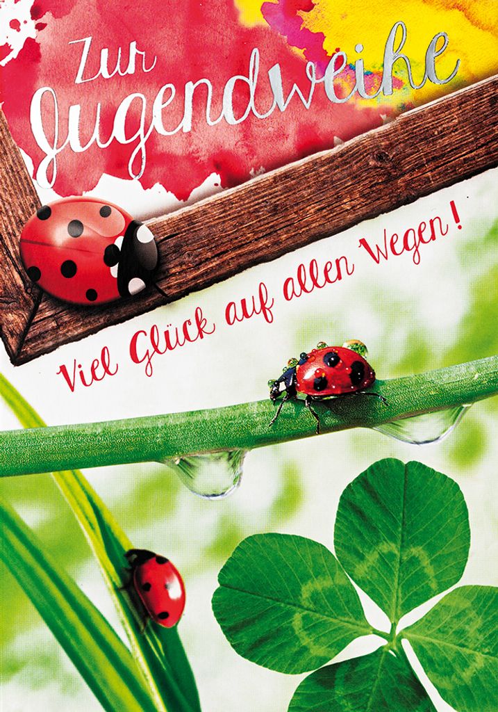 Jugendweihe Karte mit Umschlag Marienkäfer Viel Glück auf deinem We