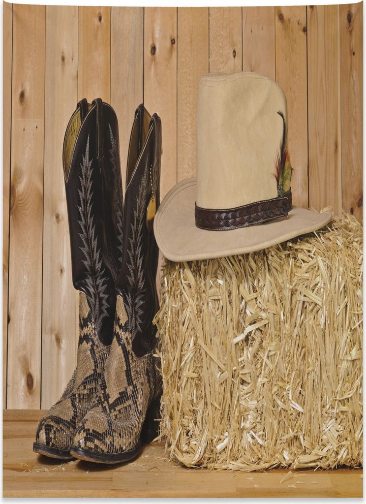 Abakuhaus Western Wandteppich, Texas Schlange Cowboy aus Weiches Mikrofaser Stoff Kein Verblassen Klare Farben Waschbar, 110 x 150 cm, Braun Creme