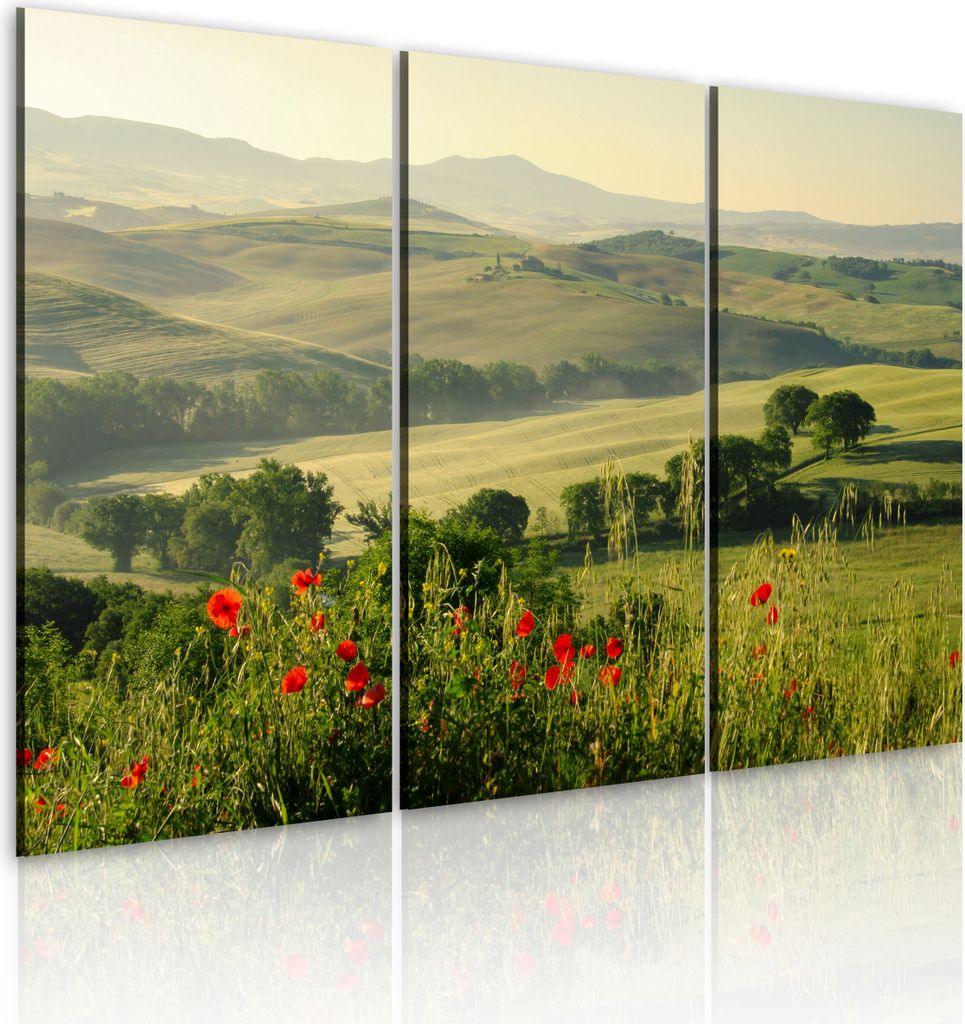 Modernes Wandbild 030213- 20 (120x80) - 3 Teilig Bilder Fotografie auf Vlies Leinwand Foto Bild Dekoration Wand Bilder Kunstdruck Natur