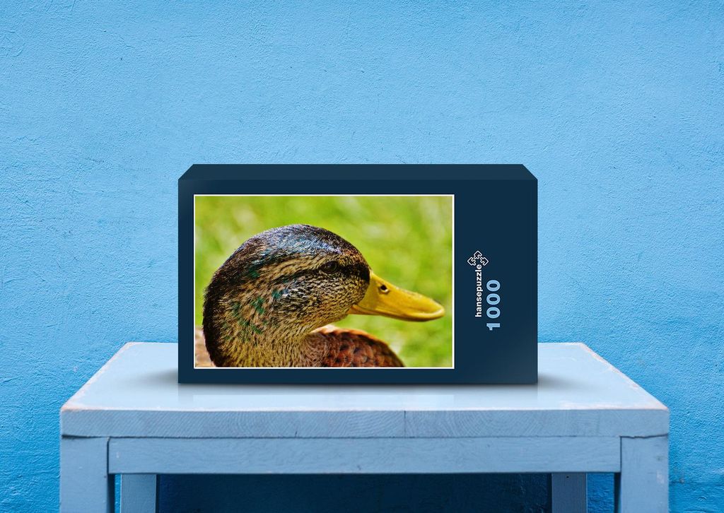 hansepuzzle 36420 - Ente Puzzle, 1000 Teile, Tierwelt, 60,0 x 46,0cm mit hochwertiger Aufbewahrung, Kartonbox und wiederverschließbarem Beutel