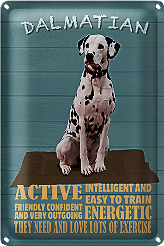 Blechschild Spruch 20x30cm Dalmatian Hund active and easy