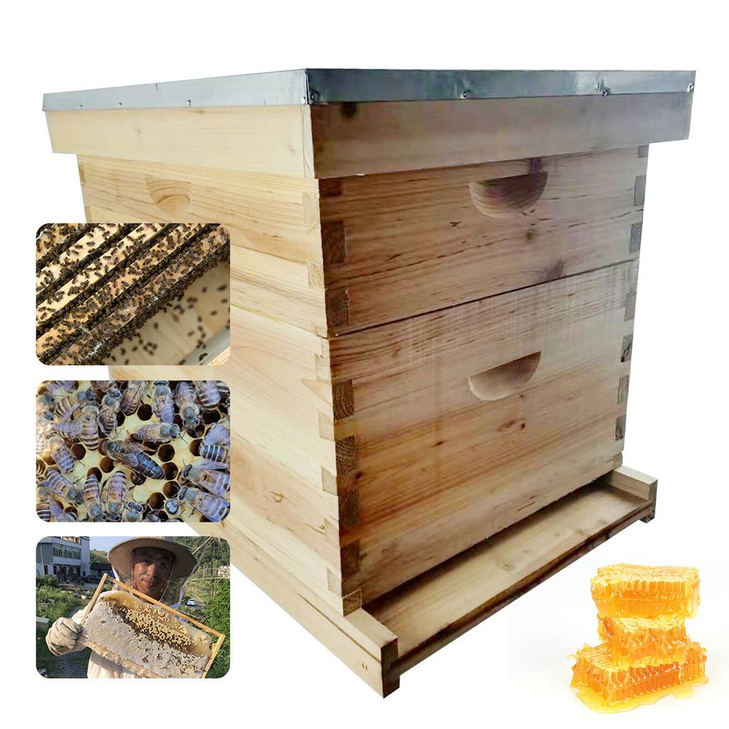 Gelb Imker Bienenkäfig Bienenstock 8-Weg-Bienenflucht Landwirtschaft Werkzeuge 