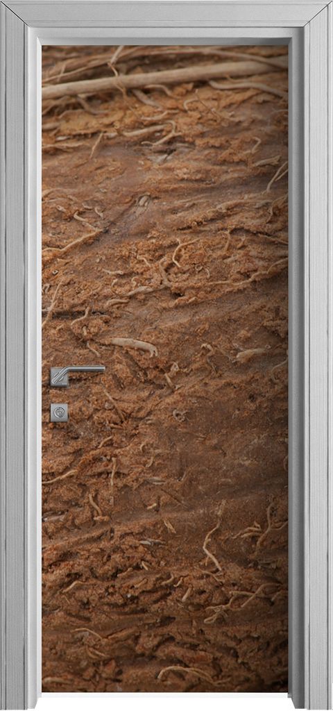 Tür Selbstklebende 80x210 cm Türfolie Türtapete Klebefolie - Nahaufnahme auf Kokosnuss