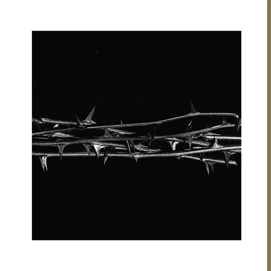 Amenra The Thorn Vinyle Or pour Platine Vinyle Écoute Immersive Post-Metal
