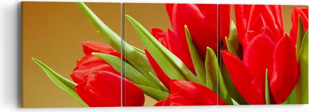 Bild auf Leinwand - Leinwandbild - Tulpen Blumen Feld Plantage - 90x30cm - Wand Bild - Wanddeko - Leinwanddruck - Bilder - Kunstdruck - Wanddekorat...