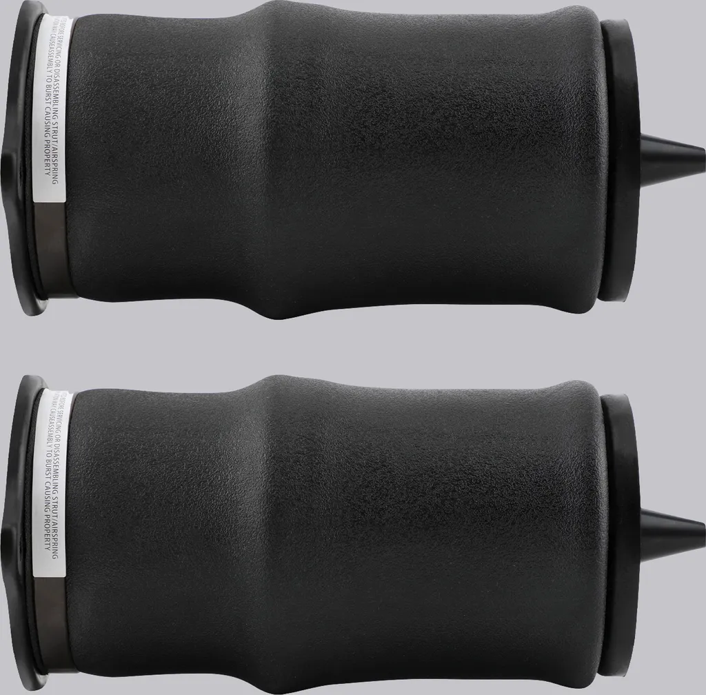 Ressorts Pneumatiques Renforcés A6393280101 pour Mercedes Vito Viano