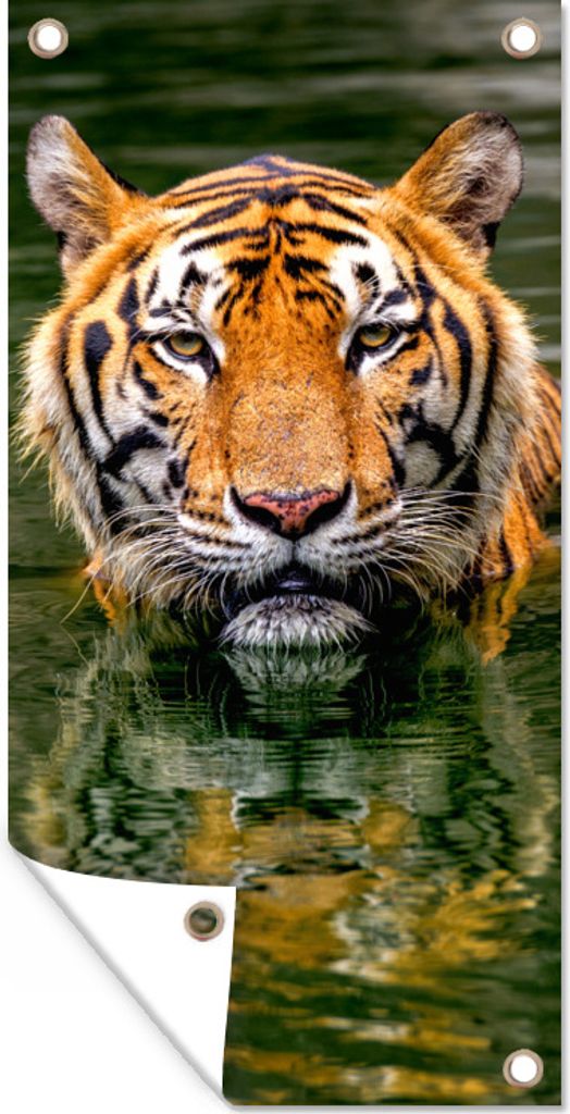 MuchoWow 30x60 cm Outdoor-Poster Gartendeko Sichtschutz Garten Poster für den Garten Tiger im Wasser