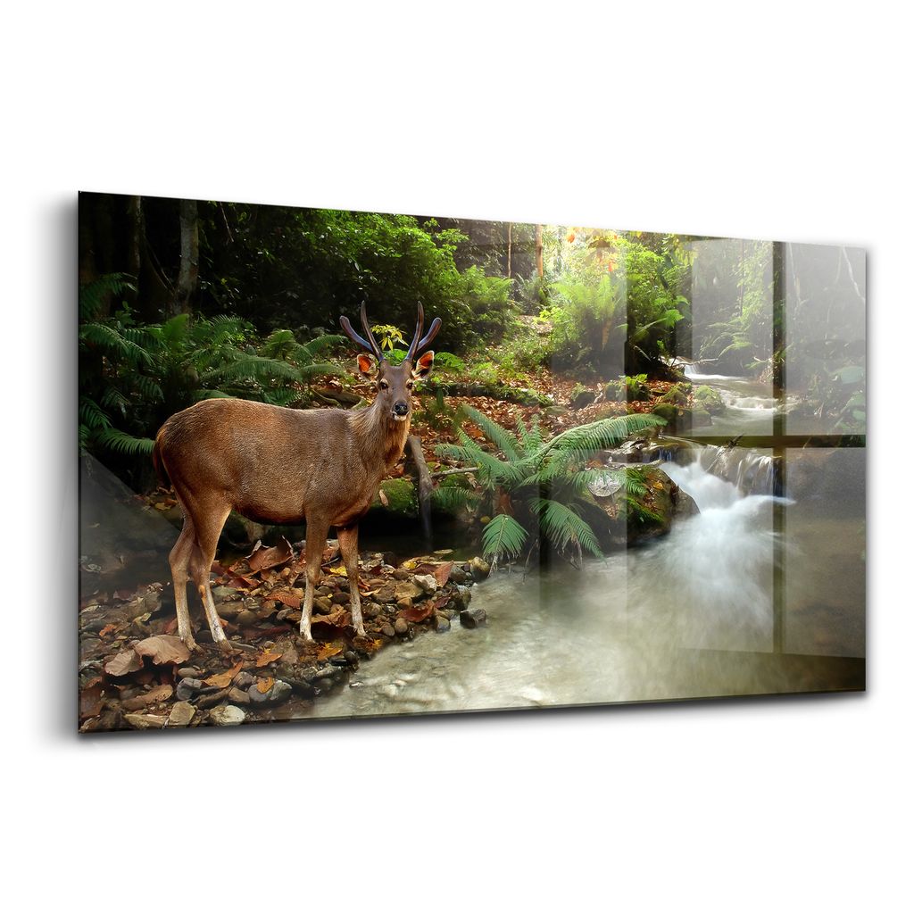 Glasmalerei - dekorative Malerei - moderne Malerei - 100x50 - Tropischer Bach und Sambarhirsch