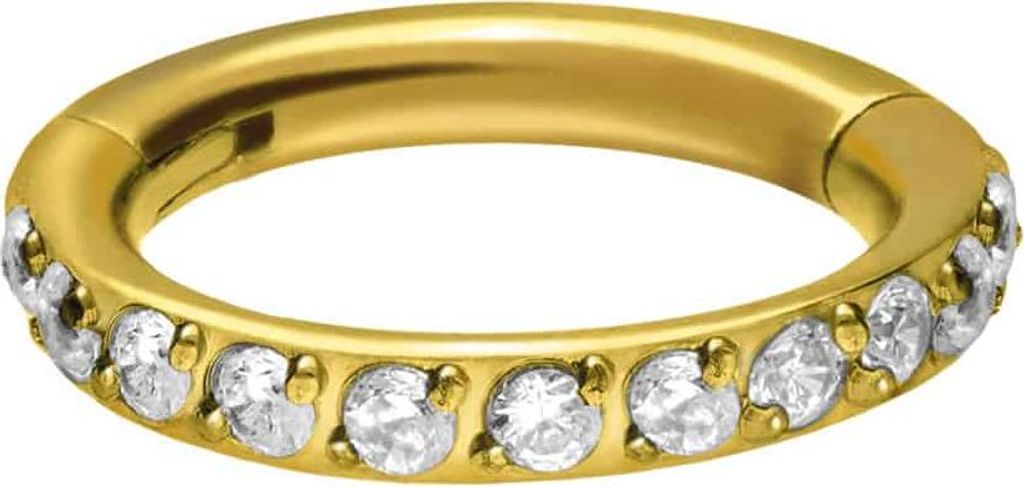 Ohrpiercing, Nasenpiercing, Septum Piercing Titan Segmentring Clicker EINGEFASSTE KRISTALLE Gold Innendurchmesser: 6mm + Stabstärke: 1,2mm