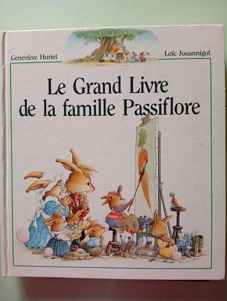 Le Grand Livre de la famille Passiflore - Album illustré jeunesse cartonné