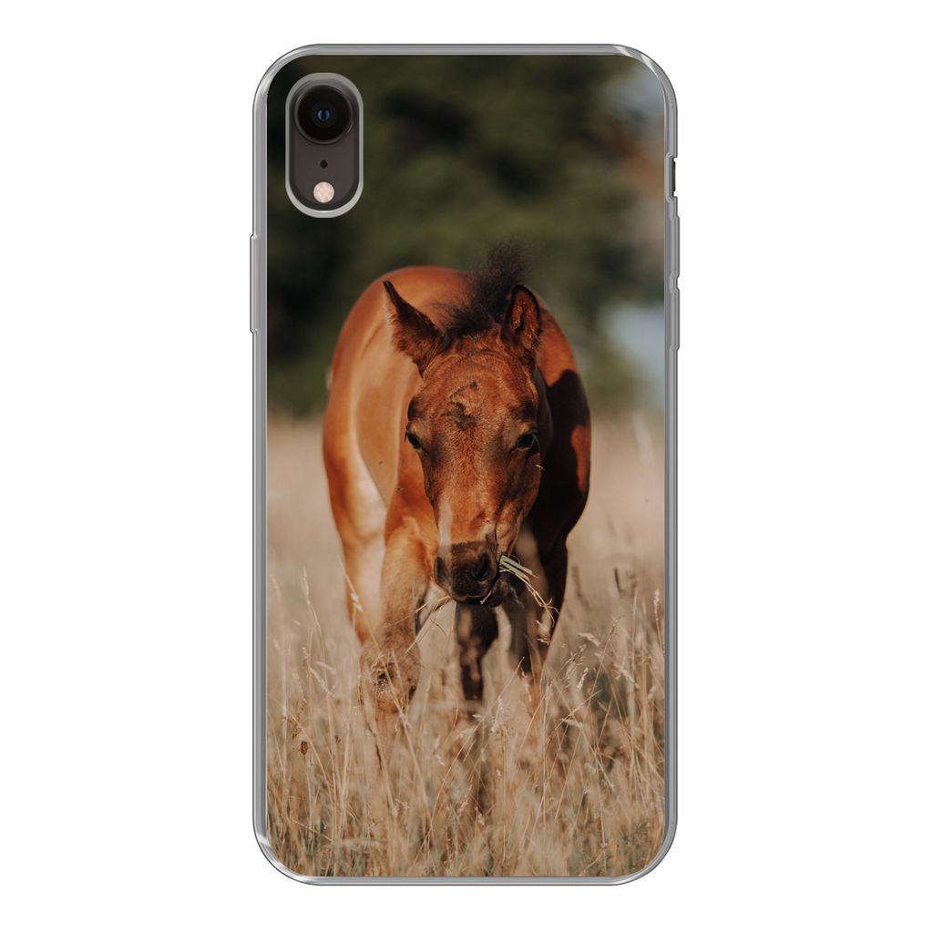 MuchoWow Handyhülle Schutzhülle Hülle für iPhone XR Pferd - Sonne - Landschaft Silikon Softcase Handy Hülle - Schutzdeckel