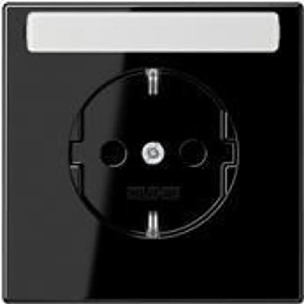Prise de courant JUNG LS 1520 NA SW Noire : Sécurité et Style Durable