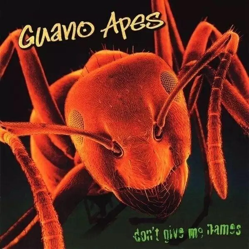 Disque Vinyle Don't Give Me Names Guano Apes LP Réédition collector