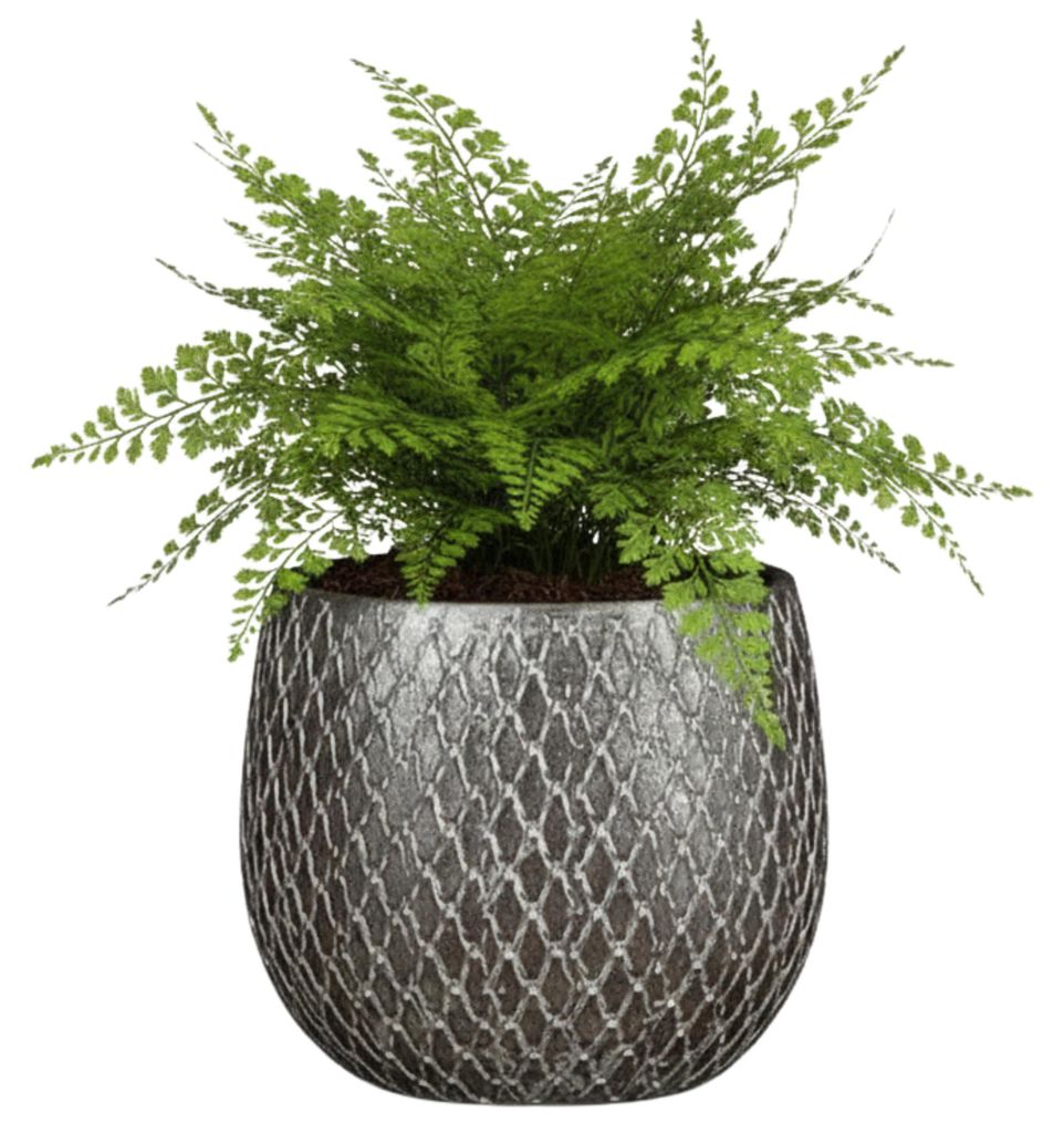 Glimmer Blumentopf / Pflanztopf Madeira - Silber - Produktbild 