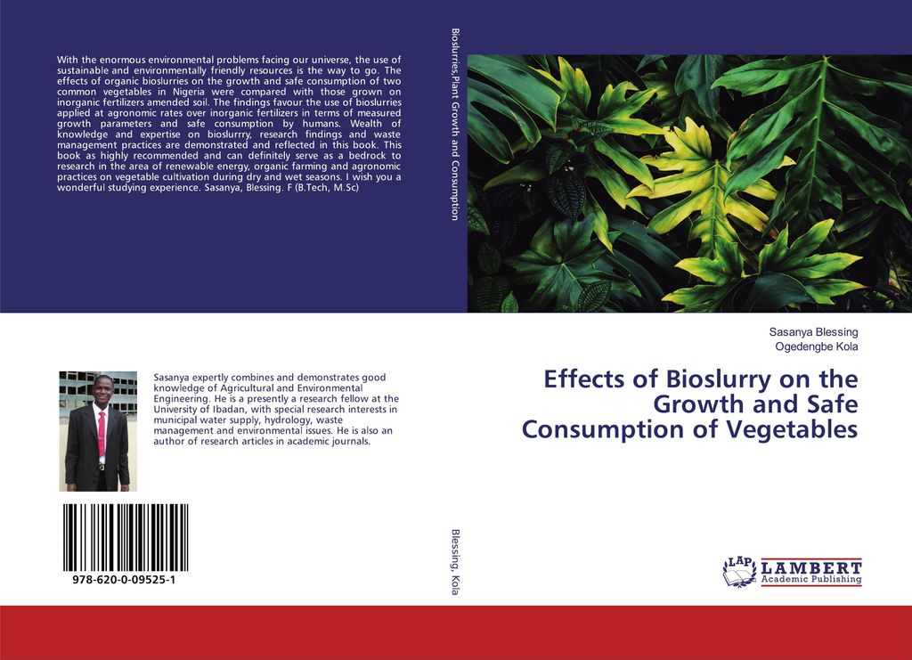 Effects of Bioslurry on the Growth and Safe Consumption of Vegetables
