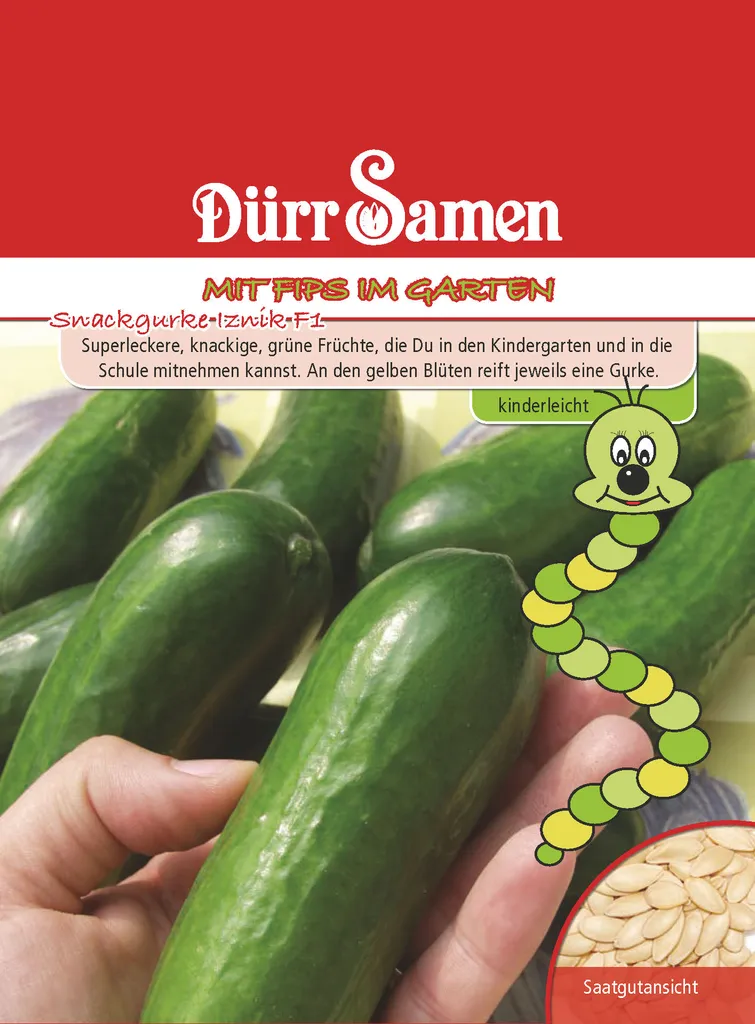 Snackgurken Hopeline F1 Saatgut Von Dürr-Samen - Foto 10