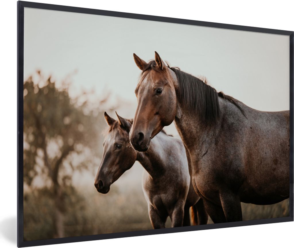 MuchoWow MuchoWow Gerahmtes Poster Pferde - Natur - Braun 60x40 cm - Poster mit zchwarzem Bilderrahmen - Printing - Wanddeko Schlafzimmer