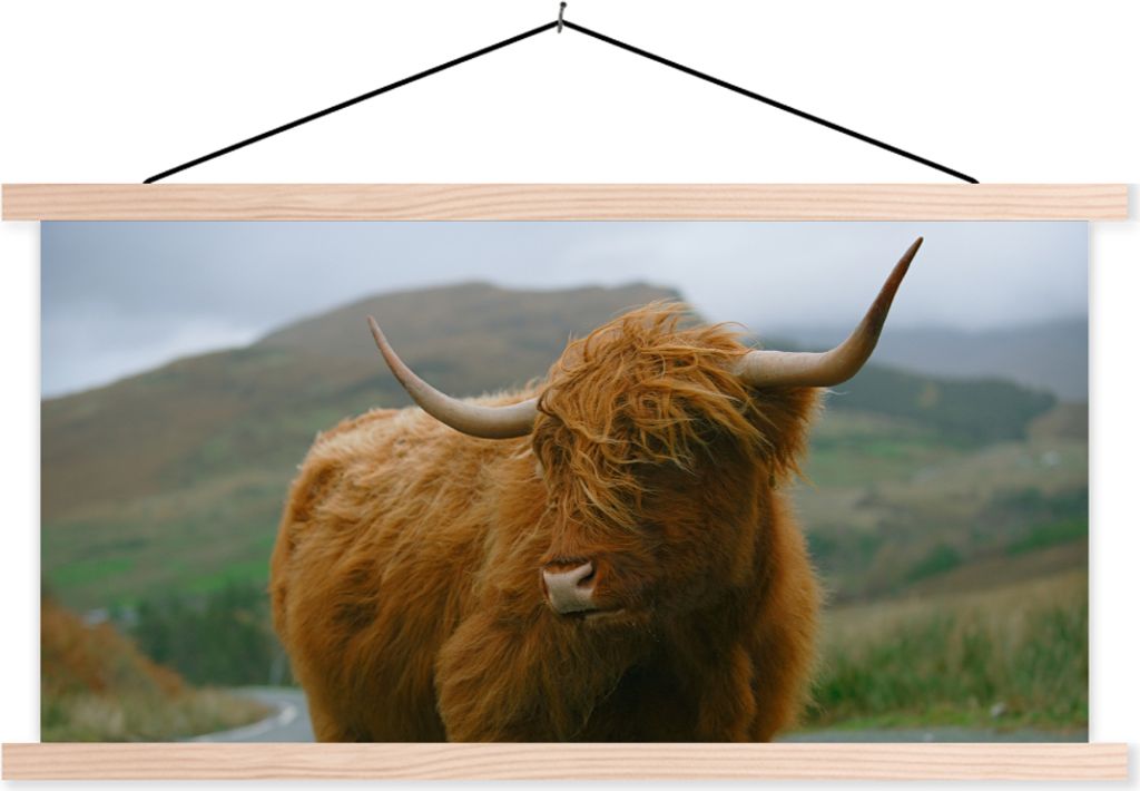 MuchoWow Textilposter Schottisches Hochlandrind - Berg - Straße 150x75 cm mit holzfarbenen Rahmen - Plakate