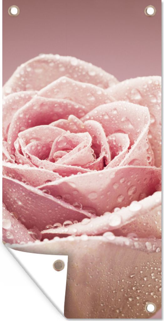 MuchoWow 30x60 cm Outdoor-Poster Gartendeko Sichtschutz Garten Poster für den Garten Tautropfen auf einer einzelnen rosa Rose