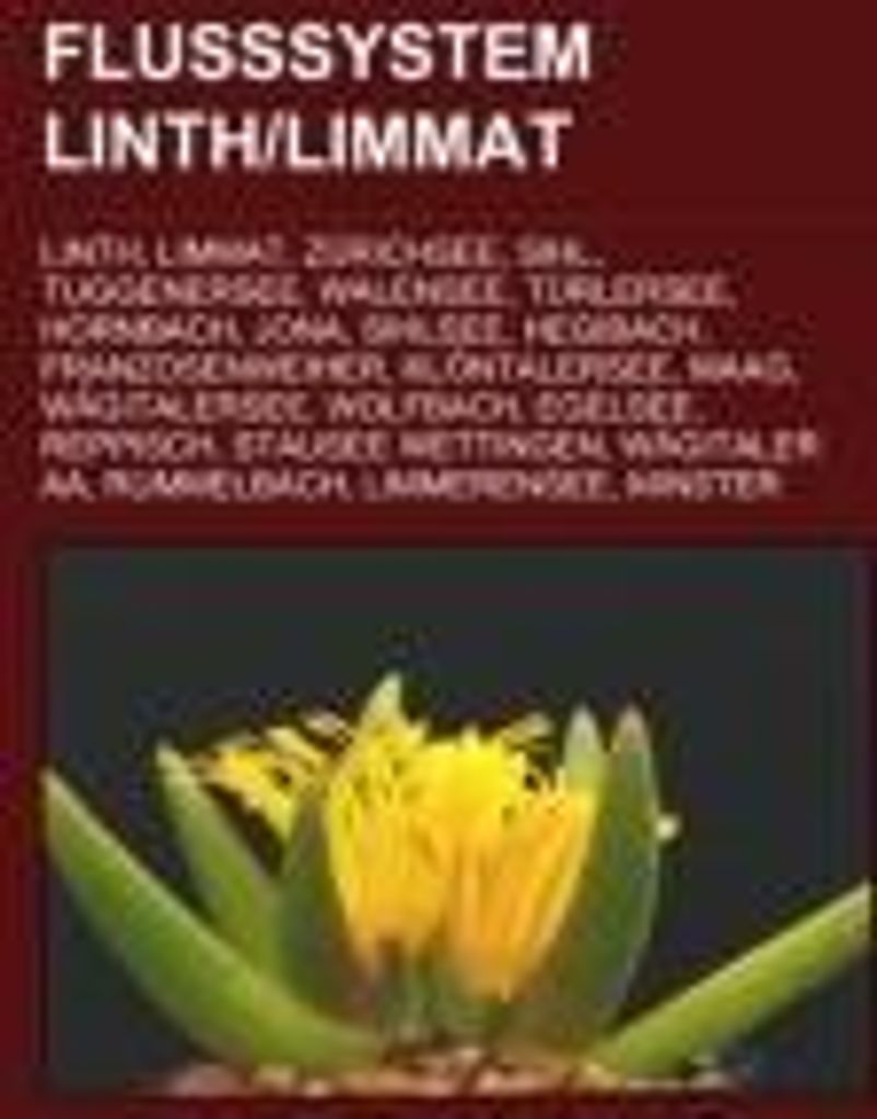 Flusssystem Linth/Limmat
