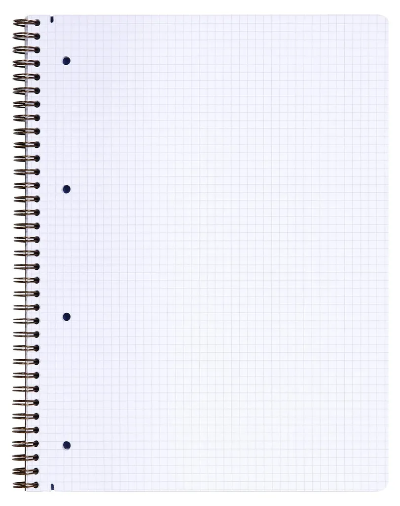 Cahier à spirale A4+ quadrillé 4 trous avec feuilles micro-perforées - 3