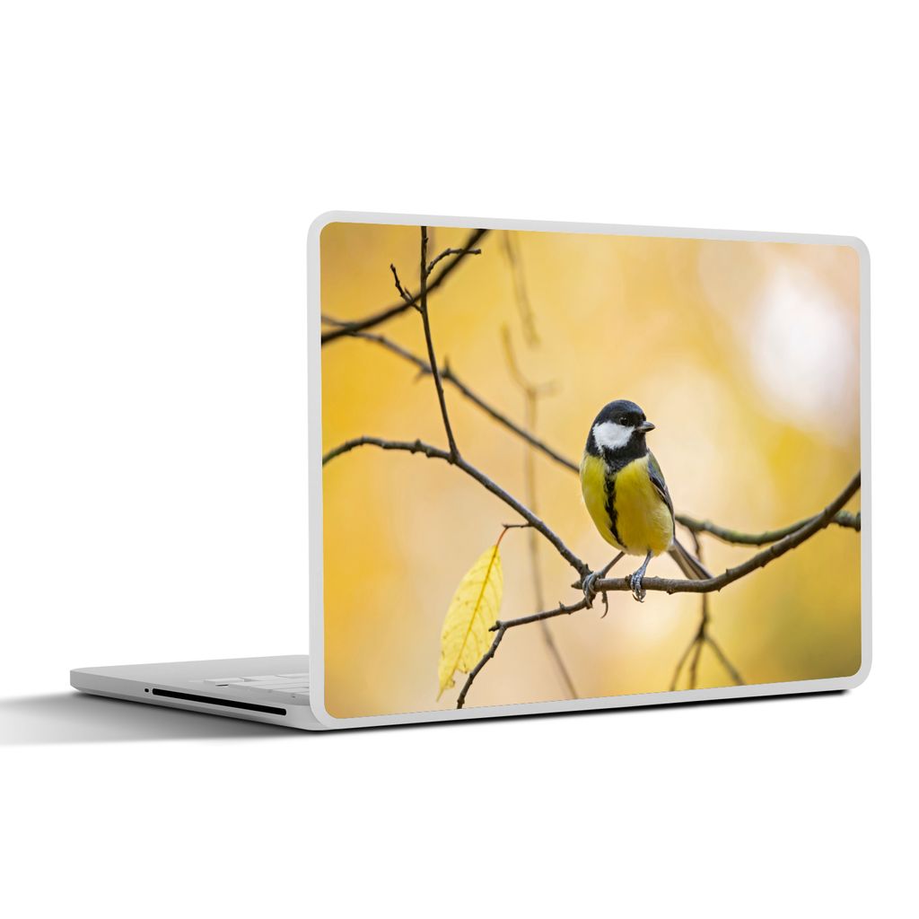 MuchoWow Laptop Aufkleber Sticker Cover Kohlmeise - Zweig - Vogel - Tiere 30x22 cm - Laptop-Sticker