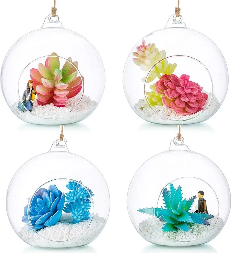 Globe en Verre avec Large Ouverture pour Terrarium Aérien - Lot de 4