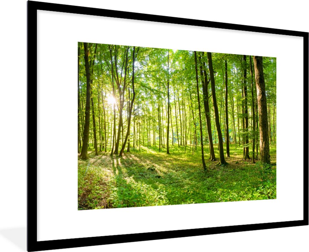 MuchoWow Gerahmtes Poster Natur - Bäume - Wald - Grün - Sonnenlicht 90x60 cm - Poster mit Schwarzem Bilderrahmen Wandposter Rahmen Foto Bilder ...