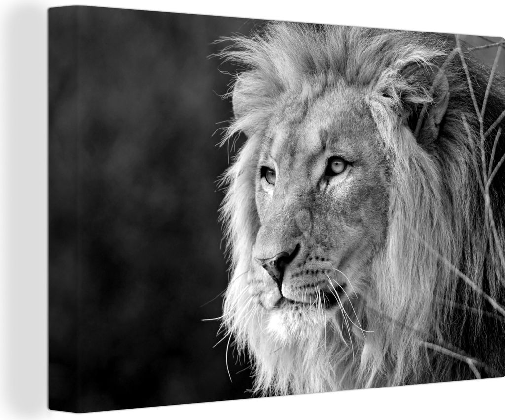 OneMillionCanvasses - Leinwandbilder - 140x90 cm, Löwe starrt auf seine Beute - schwarz und weiß, Wandbilder Kunstdruck Wanddekoration