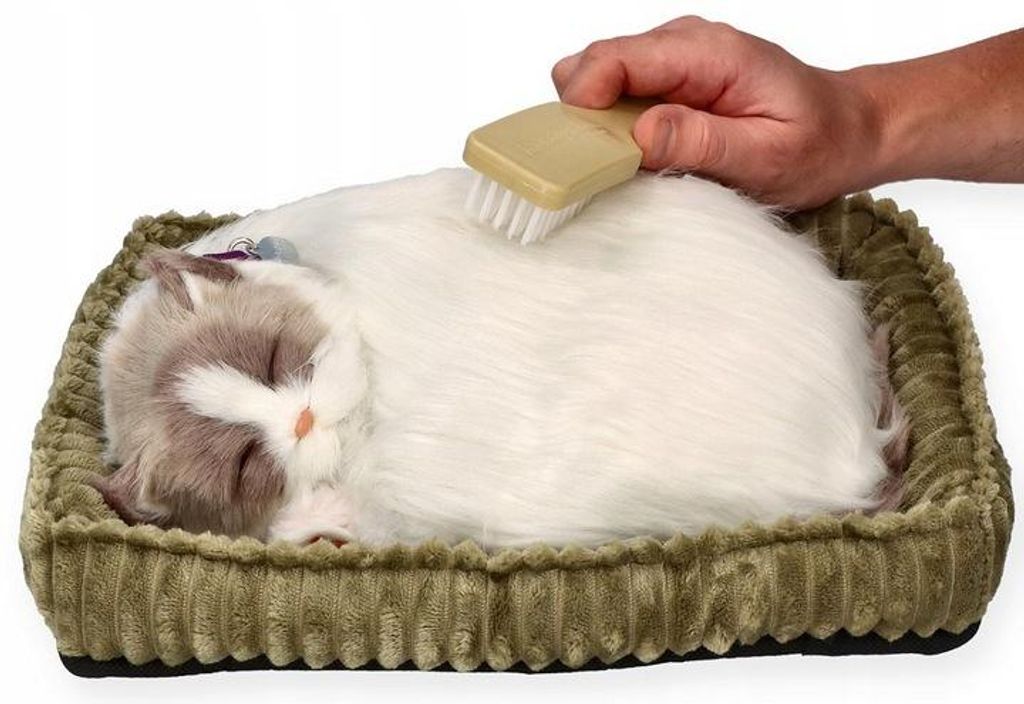 Perfect Petzzz 92646 Koťátko rasy ragdoll Obrázek produktu 