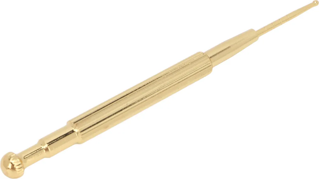 Stylo de réflexologie faciale et auriculaire manuel avec sonde à ressort