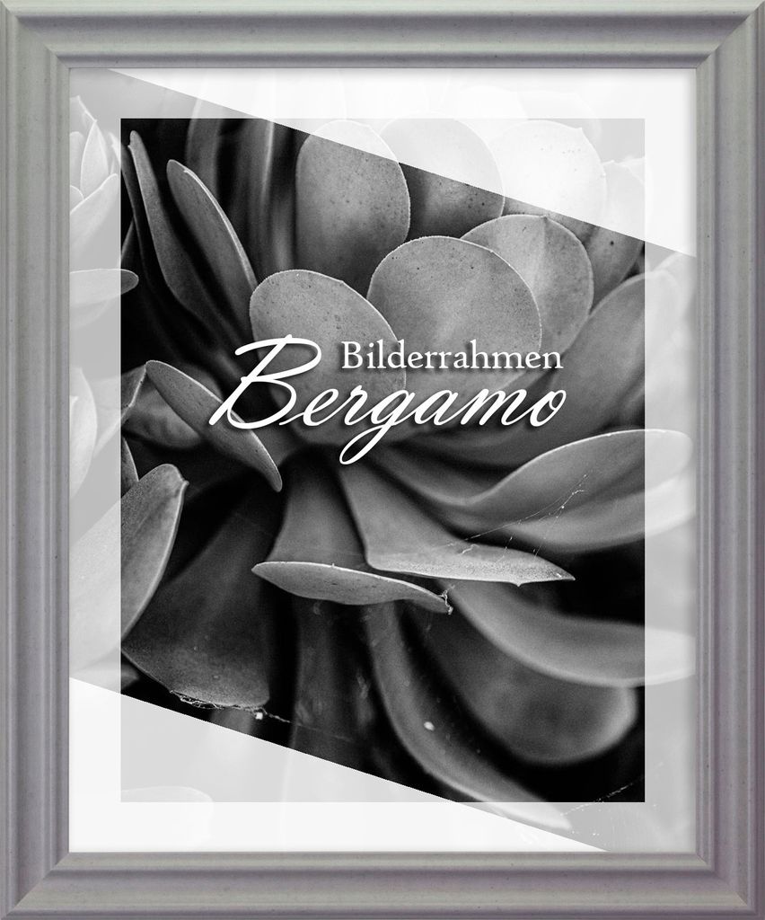 Bilderrahmen Bergamo - 45x100 cm, Beton Nachbildung, 1,5 mm Kunstglas entspiegelt