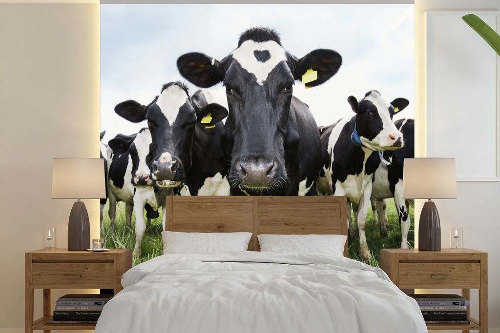 MuchoWow Fototapete für Wohnzimmer oder Schlafzimmer Wandtapete Vinyl Motivtapete Kühe - Gras - Frühling - Tiere - Wiese - Bauernhof - 300x300...