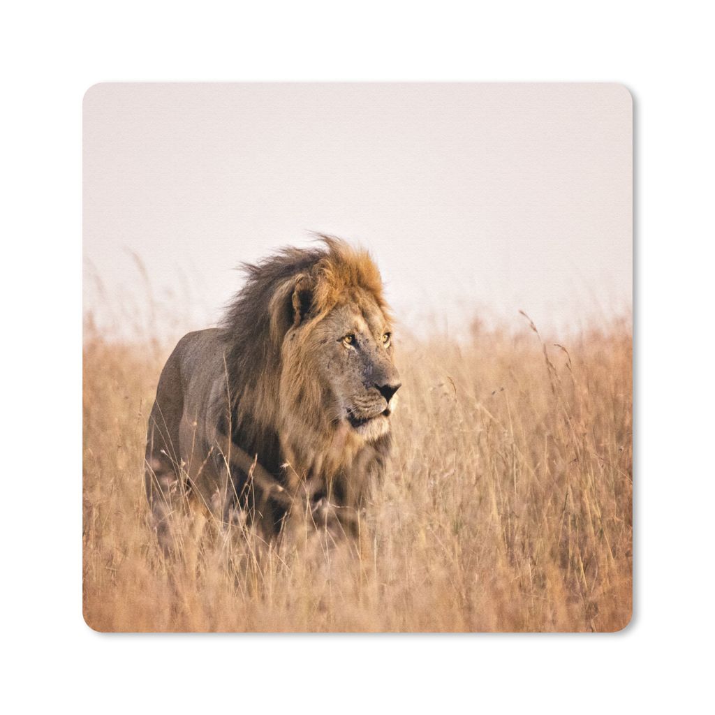 MuchoWow Mauspad Mousepad Löwe - Gras - Jagd 40x30 cm - Mousepads - Maus Mat - Pad - Mausunterlage - Anti Rutsch