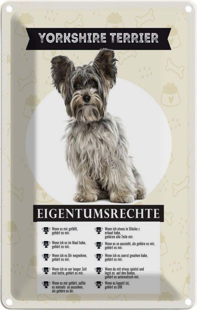vianmo Blechschild 18x12 cm Yorkshire Terrier Eigentumsrechte Hund