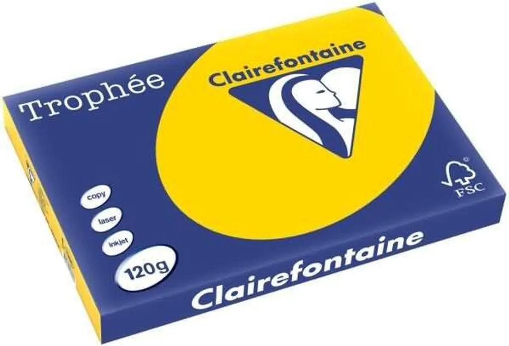 Risma Carta Colorata A3 Trofeo Clairefontaine: Guida alla Scelta