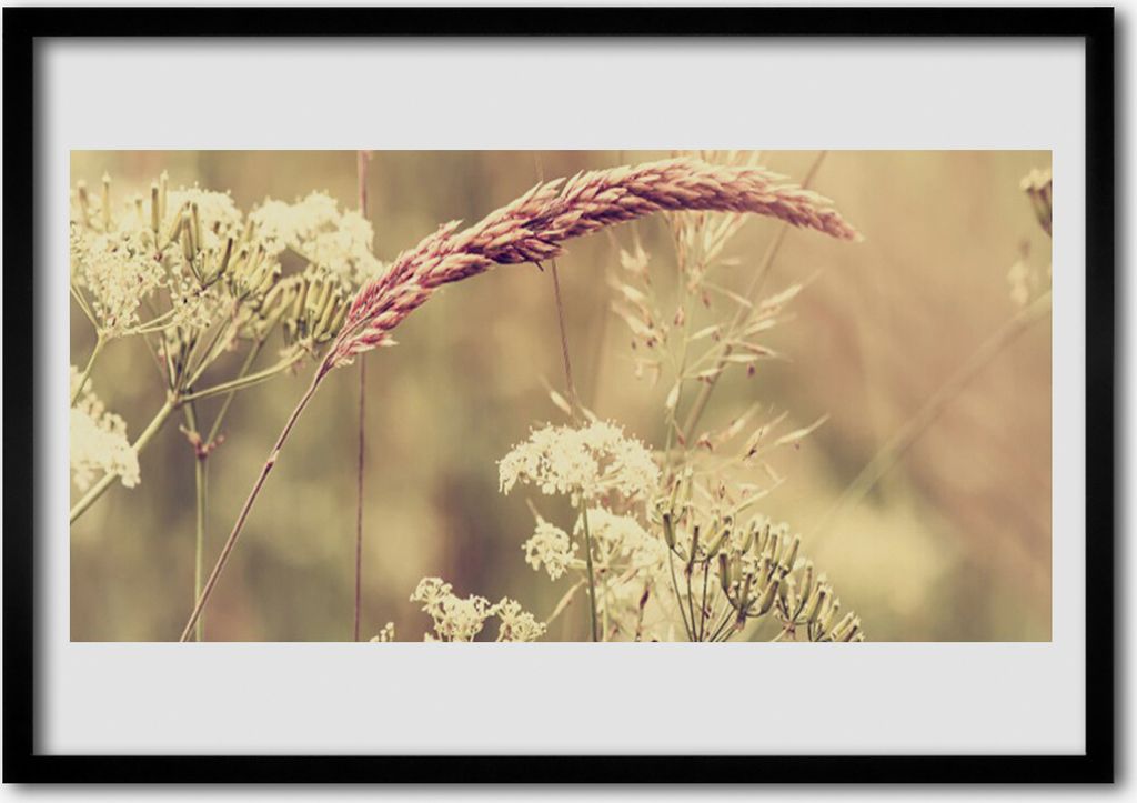 Bild 70x50 MDF-Rahmen Wandkunst Wilde Pflanzen Natur